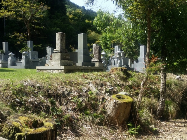 お墓の土地を共同で管理する場所の写真
